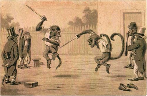 monkey-sword-fight.jpg